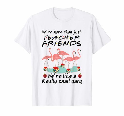 Flamingo We're More Than Just Teacher Friends Shirt