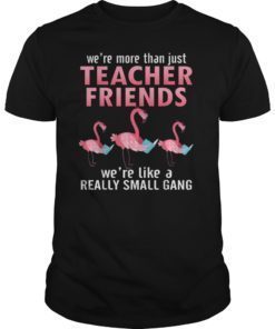 Funny We're More Than Just Teacher Friends-Flamingo T shirt