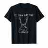 Hi How Are You As Worn Shirt Funny Shirt Sarcasm T-shirt