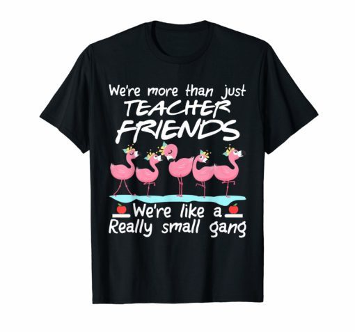 We're More Than Just Teacher Friends Flamingo T-Shirt