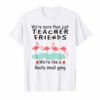 We're More Than Just Teacher Friends Flamingo T Shirt