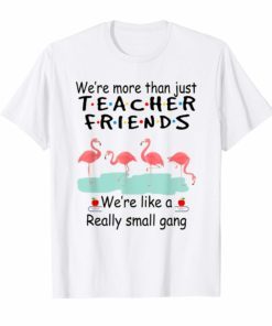 We're More Than Just Teacher Friends Flamingo T Shirt