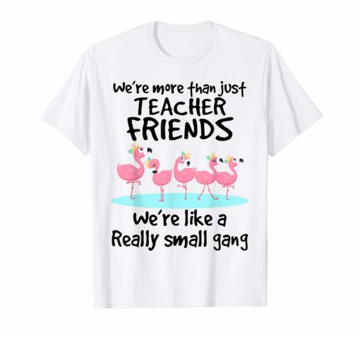 We're More Than Just Teacher Friends Shirts Teacher TShirts