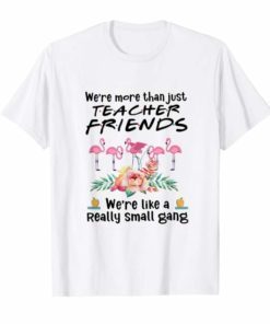 We're more than just teacher friends flamingo lovers T-Shirts