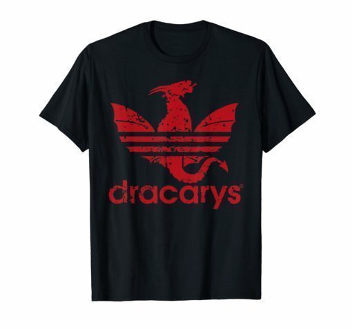 women-men-dracarys-shirt