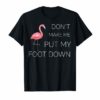 Don't Make Me Put My Foot Down Funny Flamingo T-shirt