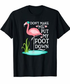 Don't Make Me Put My Foot Down Pink Flamingo T-Shirt