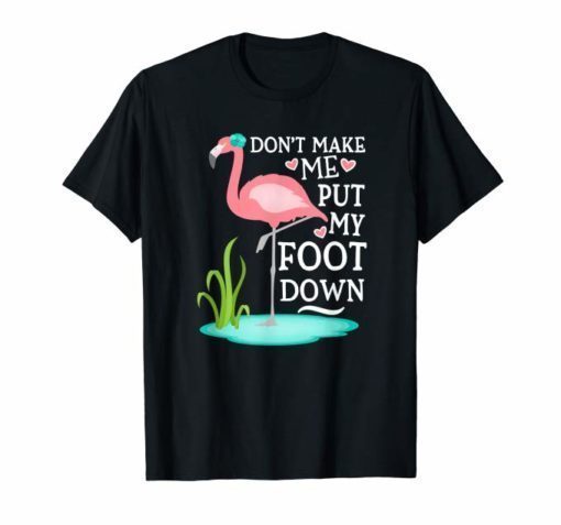 Don't Make Me Put My Foot Down Pink Flamingo T-Shirt