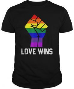 Love Wins Raised Fist T Shirt LGBT Gay Pride Awareness Month Tee Shirt