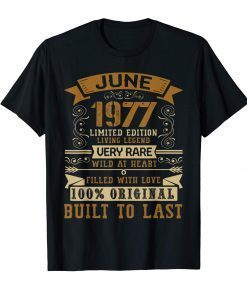 Vintage 42nd Birthday June 1977 T-Shirt 42 Years Old Gift