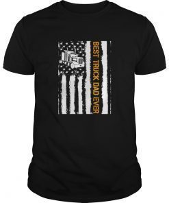 fathers day gift shirt american flag for dad papa father gift t-shirt