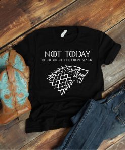 WE THE NORTH Canada Gift Tee Shirt Raptors Tribute Tee Shirts