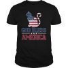 4th of July God Bless America Cat American Flag Shirt T-Shirt