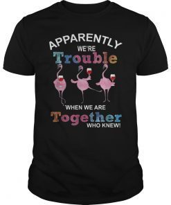 Apparently We're Trouble When We Are Together Who Knew Tee Shirt