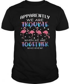 Apparently We're Trouble When We're Together Flamingo TShirt