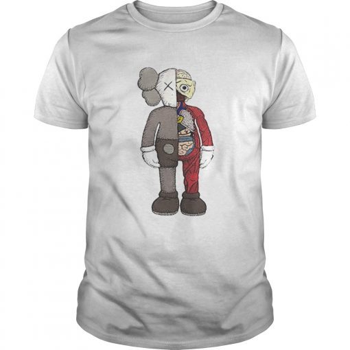 BFF figures Kaws Dior plush and Uniqlo Tee Shirt