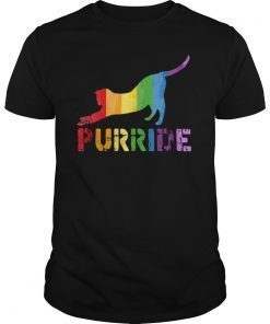 Gay Pride Gift Shirt LGBT Cute Cat Rainbow Purride Equality T-Shirt