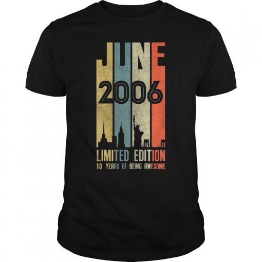 June 2006 T Shirt 13 Year Old Shirt 2006 Birthday Gift T-Shirt