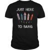 Just Here To Bang 4th of July T-Shirt