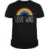 Love Wins T-Shirt, Love Wins Shirt, Pride T Shirt, Pride, Gay Pride Shirt