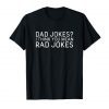 Mens Dad Jokes I Think You Mean Rad Jokes Funny Dad Tshirts