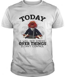 Muppet today I will not stress over things I cant control shirt