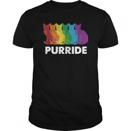 Pride Colorful LGBT Purride Shirt - Rainbow Cat Lover Gift