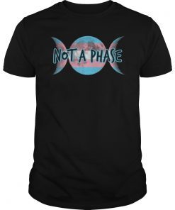 Transgender Pride Flag TShirt Not A Phase Trans Gender Shirt