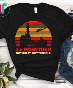 3.6 Roentgen Not Great Not Terrible Retro Vintage Sunset Tee