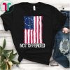 Betsy Ross American Flag With 13 Stars for Protesters T-Shirt