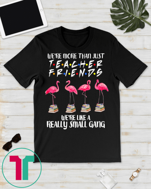 Flamingo We're More Than Just Teacher Friends TShirt Gifts T-Shirt