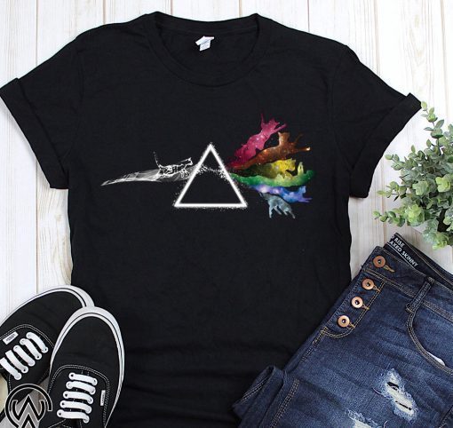 Pink floyd dark side of the cat shirt