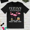 We're More Than Just Teacher Friends Funny flamingo Gift T-Shirt