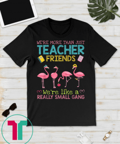 We're More Than Just Teacher Friends Tee Shirts