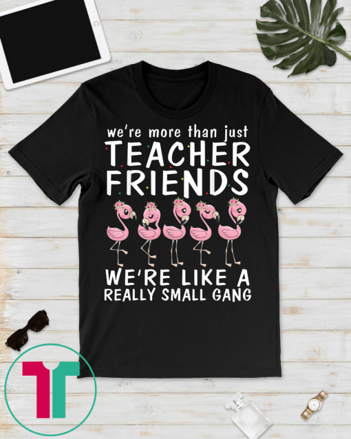 We're More Than Just Teacher Friends We're Small Gang Shirt