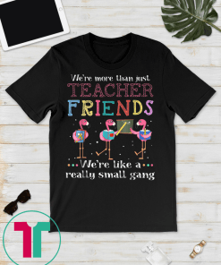 We're more than just teacher friends T-shirt T-Shirt