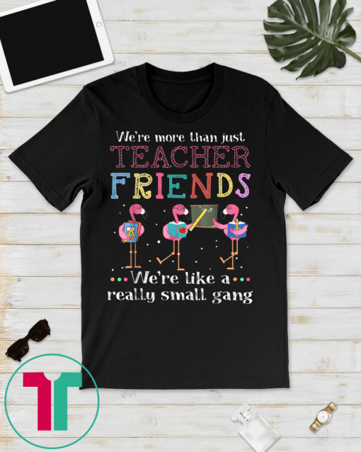We're more than just teacher friends T-shirt T-Shirt