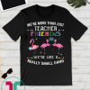 We're more than just teacher friends Tee Shirt