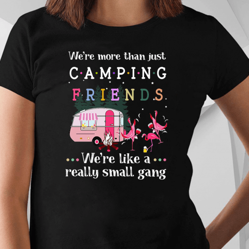We’re More Than Just Camping Friends Flamingo We’re Like A Really Small Gang Shirt