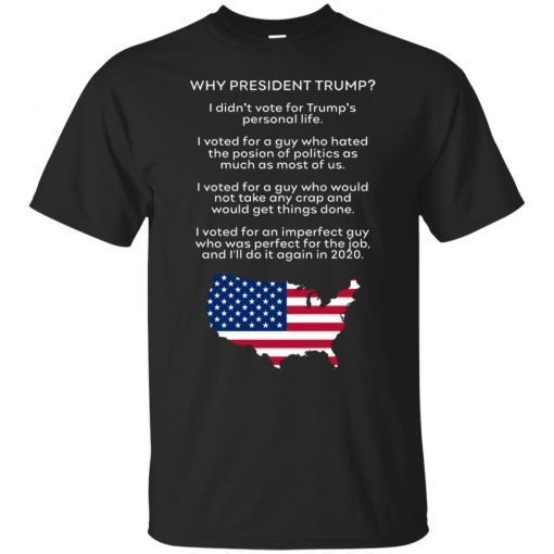 Why President Trump I Didn’t Vote For Trump Personal Life T-Shirt