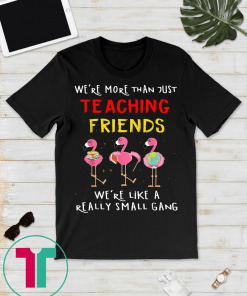 we're more than just teaching friends T-Shirt