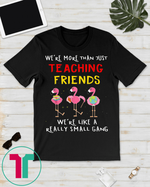 we're more than just teaching friends T-Shirt