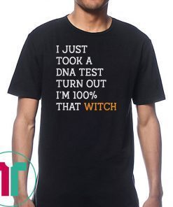 Halloween Costume I'm A 100 Percent With That Witch Gift T-Shirt