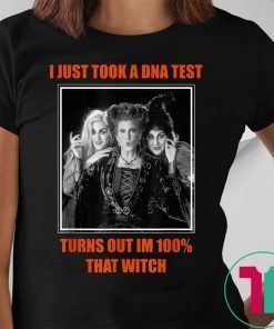 I Just Took A DNA Test Turns Out I'm 100% That Witch Tee Shirts
