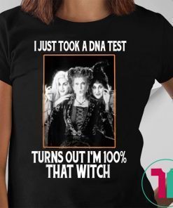 I Just Took A DNA Test Turns Out I'm 100% That Witch T-shirt