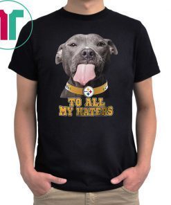 Pitbull steelers to all my haters shirt