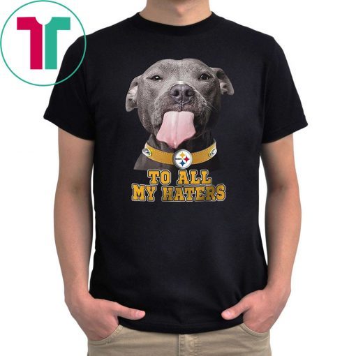 Pitbull steelers to all my haters shirt