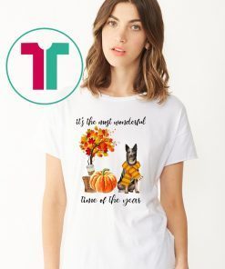 Australian Cattle It’s The Most Wonderful Time Of The Year Fall Autumn Maple Leaf Shirt