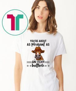 Cow you're about as pleasant as an itchy butthole shirt