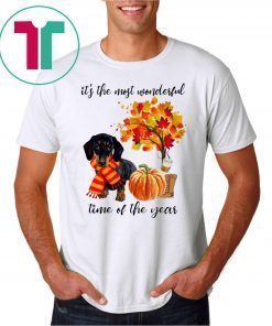 Dachshund It’s The Most Wonderful Time Of The Year Fall Autumn Maple Leaf Shirt
